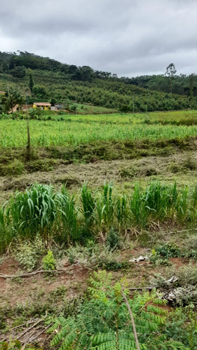Casa Com Terreno Bom Destino Mg Gerais