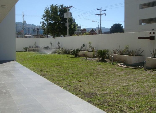 Imagen 6 de 7 de Apartamento Amueblado En Alquiler Zona 10