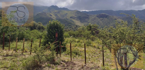 Imagen 4 de 30 de Terreno - Rincon Del Este
