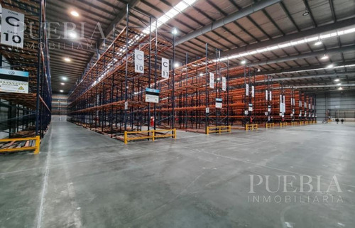 Imagen 6 de 6 de Depósito En Alquiler - Centro Logístico