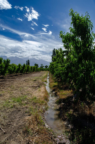 Finca En Venta En Tunuyán