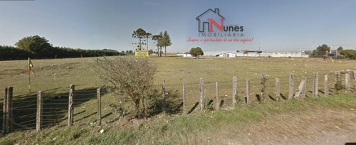 Imagem 2 de 6 de Terreno No Bairro Planta Quississana Em São José Dos Pinhais Pr - 15714