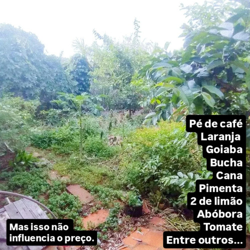 Casa Ampla Com Quintal Grande No Novo Bandeirante