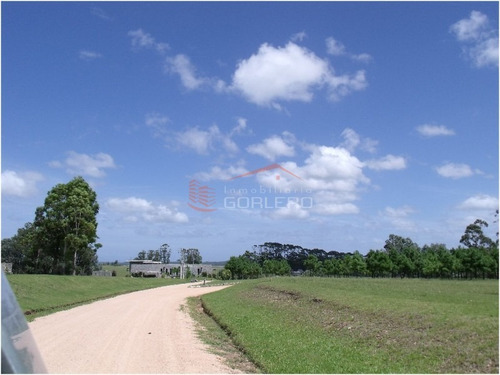 Terreno En Venta Punta Del Este, La Barra, Barrio Privado El Quijote- Ref: 20693