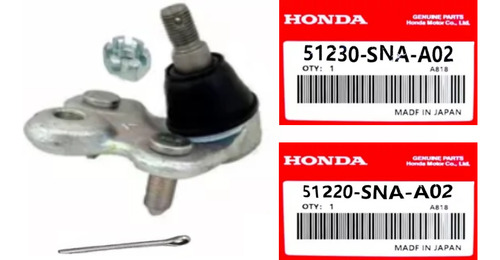 Muñón Meseta Inferior Honda Civic Emotion 1.8 06-2012 Rh Lh