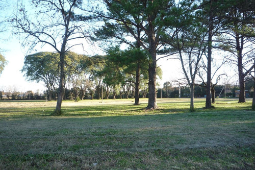 Imagen 8 de 10 de Terreno - Escobar