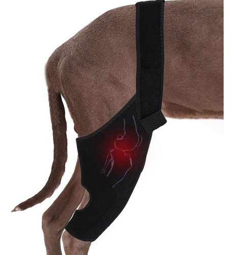 Soporte De Cadera Para Perro Soporte Para Displasia De Cader