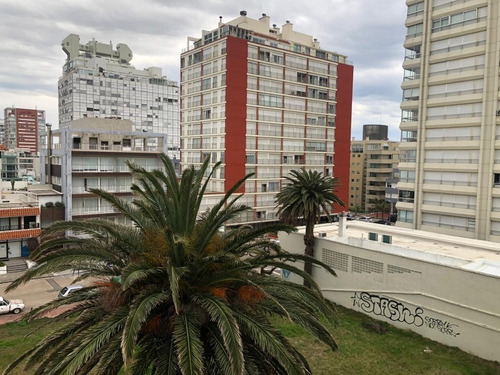 Apartamento En Peninsula -ref:26937