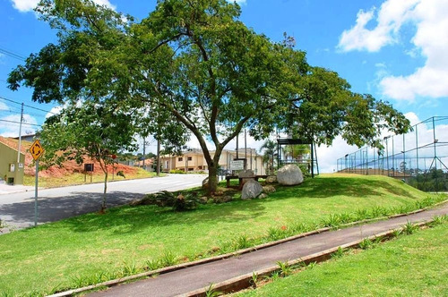 Imagem 6 de 30 de Terreno À Venda, 366 M² - Vila D'este - Cotia/sp - Te1456