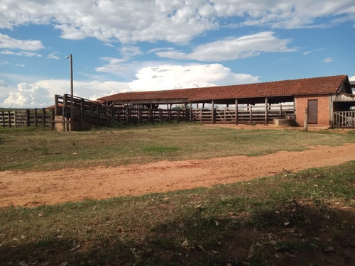Imagem 13 de 30 de Fazenda À Venda Em Echaporã/sp - Fa00113 - 68992877