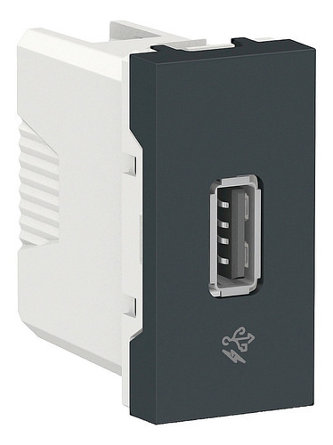 Modulo Tomada Cargador USB Orion - Schneider Electric
