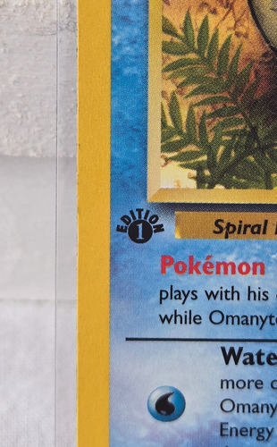 Pokemon Omanyte 52/62 Fossil 1° Edición 1999 Nm Inglés Omanyte 1 Edición Inglés (Usado)
