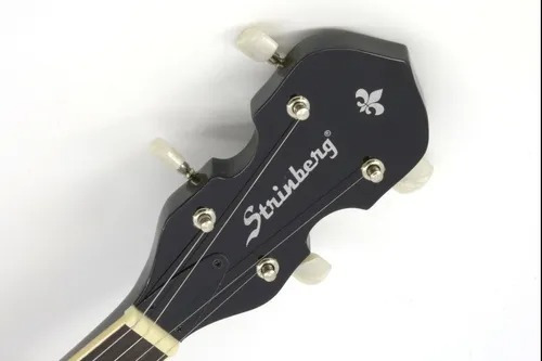 Banjo Americano 5 Cordas Mogno C/ Pele Remo Strinberg Wb50