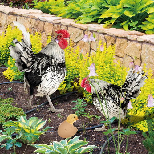Estacas Decorativas Para Jardín, Adornos De Pollo