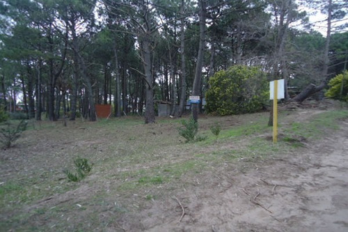 Imagen 4 de 5 de Muy Buena Ubicación- Lote A Nivel- Arbolado- Lindo Entorno- 600 Mts