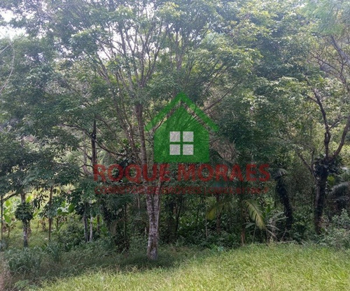 Imagem 23 de 26 de Sítio Medindo 36.000 M² No Vale Do Ribeira Sp Ref.: 0896
