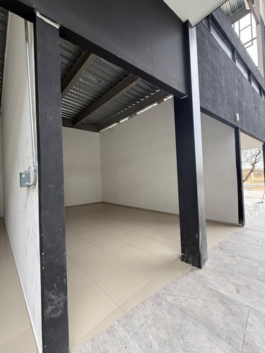 Locales En Venta Y Renta En Plaza Comercial Al Norponiente De Aguascalientes