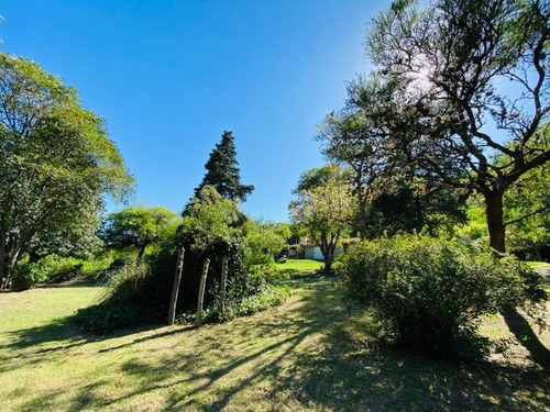 Imagen 3 de 16 de Venta 19 Hectareas 4313 M2 Sobre Ruta N5 En Villa General Belgrano - Inv0072