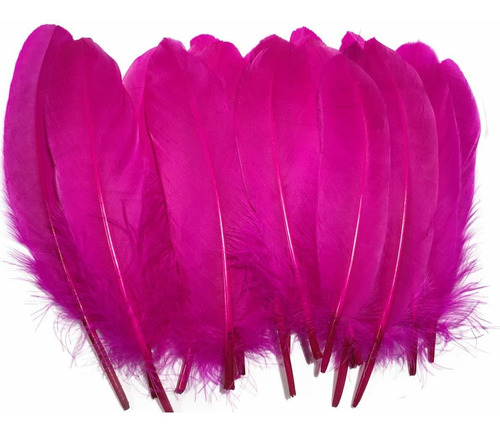 Imagen 1 de 1 de Pluma Ganso Natural 6.0 In 100 Unidad Color Rojo