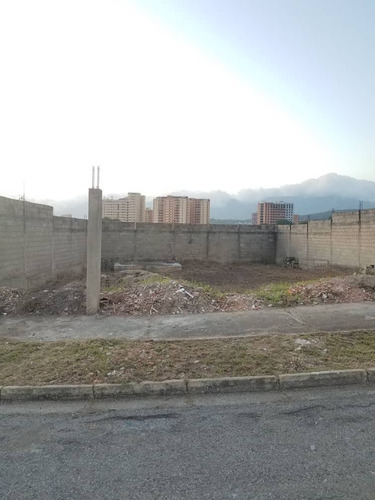 Imagen 10 de 15 de Terreno En Venta Urb. Jardin Mañongo
