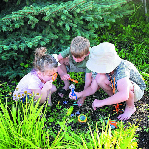 Jaula Para Insectos De Aventura Al Aire Libre Para Niños, Cr