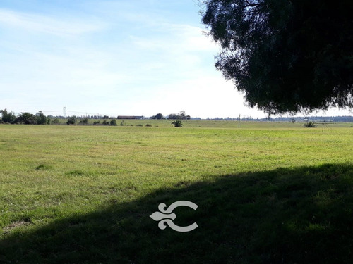 Chacra En Venta En Canelones Ref. 9075 (ref: Cbr-1023)