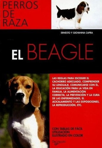 El Beagle  Perros De Razaawe