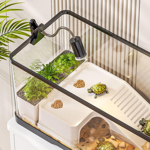 De Para Tortugas, Terraza De , Escalera Caja De Suelo Grande