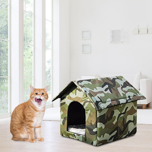 Gatos Selvagens Ao Ar Livre, Casa Quente, Gatinho À Prova
