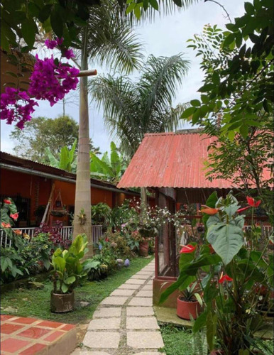 Finca En Mesitas Del Colegio Con Piscina Y Jacuzzi