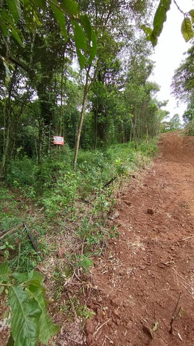 Terreno Centrico En Eldorado