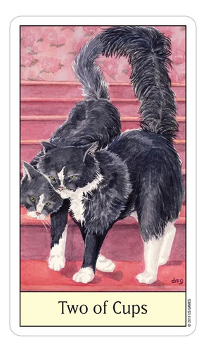 Cat's Eye Tarot Original