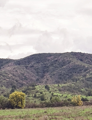 La Quebradilla: Las + Lindas Parcelas De 2.0 Hás Del Valle