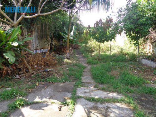 Imagem 30 de 30 de Casa - Vila Independência - Ca0566