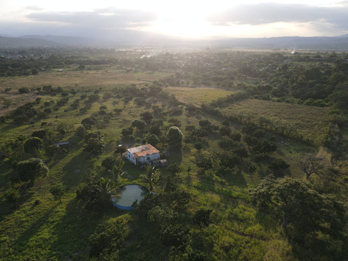 Imagen 9 de 24 de Granja En Venta Yaritagua 12 Hectareas Cod. 23-17577
