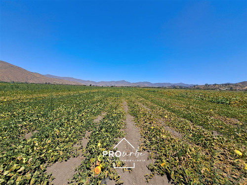 Gran Hacienda Curacavi 108 Hectáreas Parcelables Con Agua