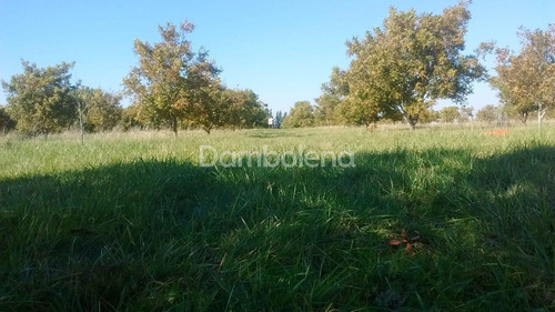 Imagen 4 de 25 de Terreno En Venta O Permuta Ubicado En Punta Indio, Resto De La Provincia
