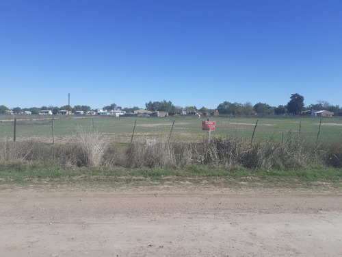 Oportunidad De Inversión: Quinta De 1 Hectárea Apta Para Loteo Ubicada En Suipacha, Provincia De Buenos Aires