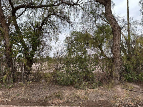 Terreno En Venta En Coquimbito