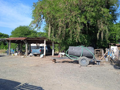 Venta Rancho 94 Hectareas El Otatal Alamo Temapache Veracruz