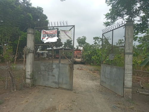 Imagen 6 de 13 de Terreno En Venta Ubicado Vía A Bucay Frente A Cartonera Ciudad El Triunfo Al Pie De La Carretera