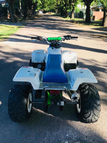 Kawasaki Ksf 250 (cuatriciclo) Bayou Banshee Raptor Yfz