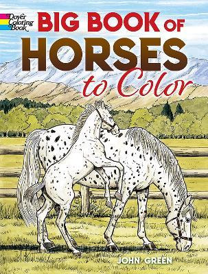 Big Book Of Horses To Color - John Green