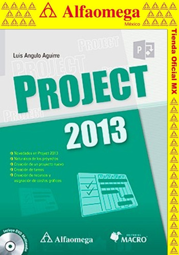 Project 2013