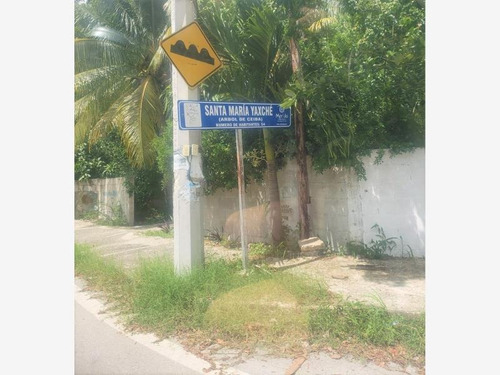 Imagen 4 de 12 de Terreno En Venta Santa María Yaxché