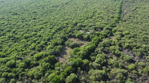 Campo De 50 Hectareas En Venta En Conlara, Traslasierra!!