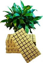 Comprar Cubos De Lana De Roca De 1 Pulgada Para Hidroponía
