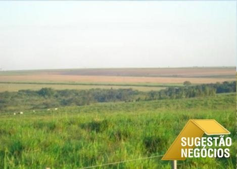 Imagem 8 de 15 de Fazenda No Asfalto Agricultura Ou Pecuaria - 3112
