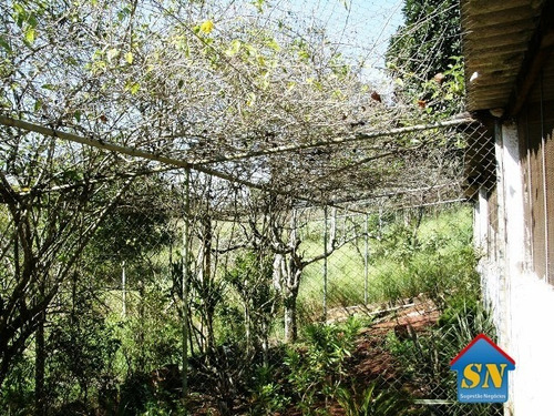 Chácara 10 Mil M² – Permuta Apartamento Ou Casa - 1672