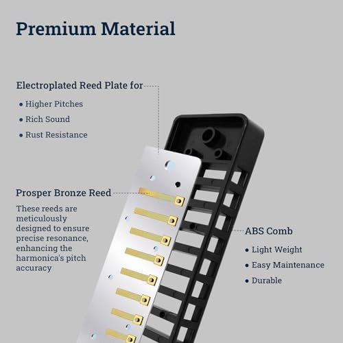 Polar - Llave De Armónica Diatónica Bb 10 Agujeros, 20 Not
